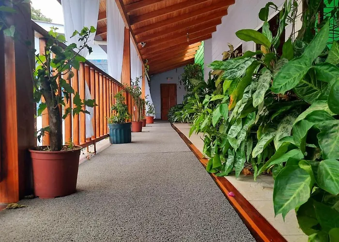 Hotel Bellavista By Verdes - 3*